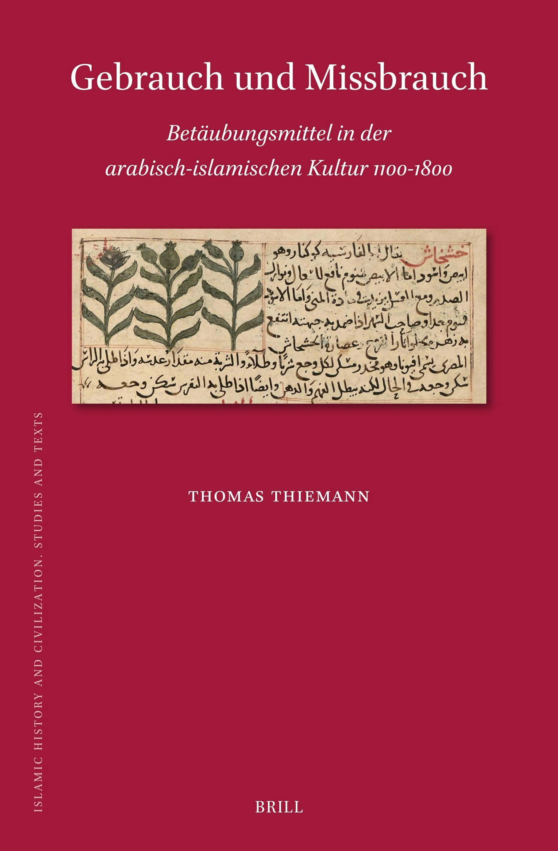 Book cover image for Gebrauch und Missbrauch ISBN: 9789004722378